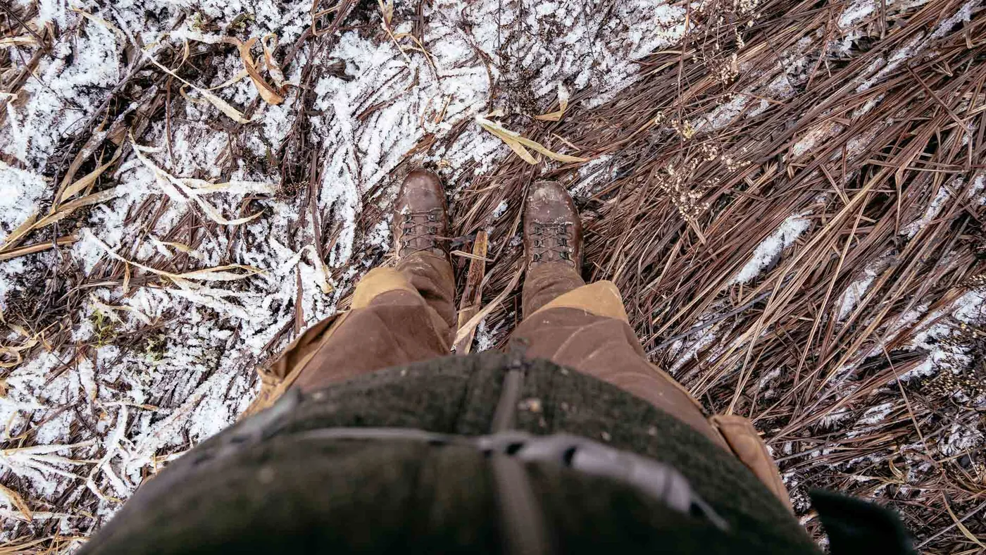 Photography in the Wild – Keeping Wildlife in Focus